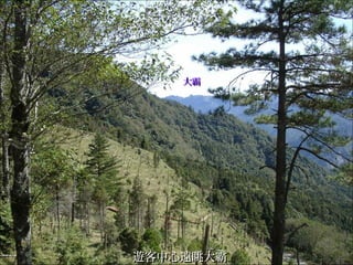 大霸大霸
遊客中心遠眺大霸遊客中心遠眺大霸
 