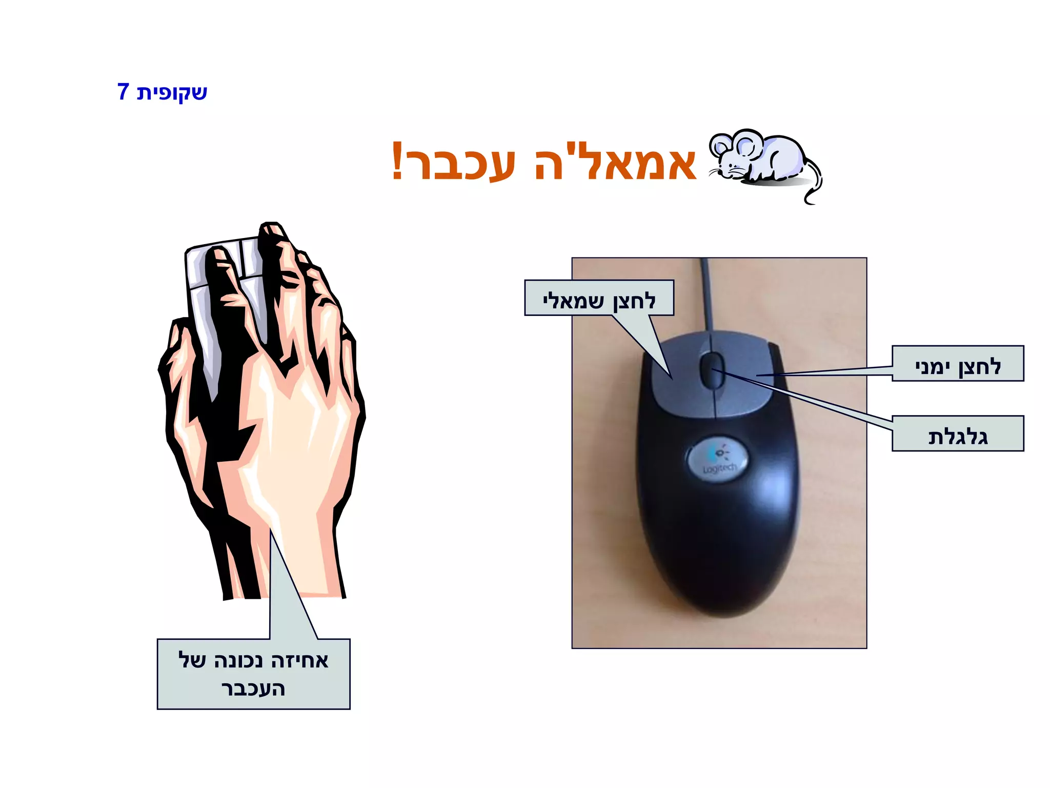 ‫שקופית‬7
‫אמאל‬'‫עכבר‬ ‫ה‬!
‫ימני‬ ‫לחצן‬
‫גלגלת‬
‫שמאלי‬ ‫לחצן‬
‫של‬ ‫נכונה‬ ‫אחיזה‬
‫העכבר‬
 