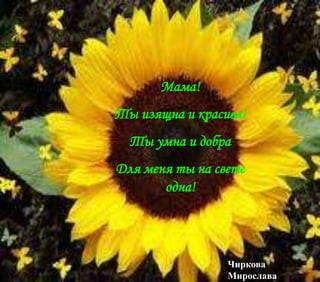 Мама!
Ты изящна и красива!
Ты умна и добра
Для меня ты на свете
одна!
Чиркова
Мирослава
 