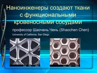 Наноинженеры создают ткани
с функциональными
кровеносными сосудами
профессор Шаочень Чень (Shaochen Chen)
University of California, San Diego
 