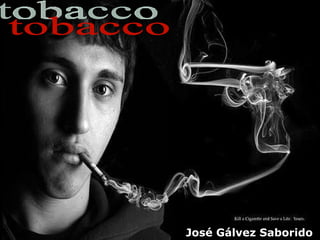tobacco José Gálvez Saborido 