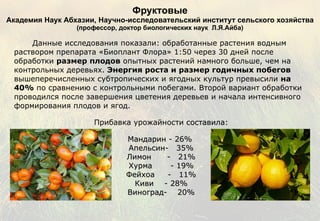 Фруктовые   Академия Наук Абхазии, Научно-исследовательский институт сельского хозяйства  (профессор, доктор биологических наук  Л.Я.Айба) Данные исследования показали: обработанные растения водным раствором препарата «Биоплант Флора» 1:50 через 30 дней после обработки  размер плодов  опытных растений намного больше, чем на контрольных деревьях.  Энергия роста и размер годичных побегов  вышеперечисленных субтропических и ягодных культур превысили  на 40%  по сравнению с контрольными побегами. Второй вариант обработки проводился после завершения цветения деревьев и начала интенсивного формирования плодов и ягод. Прибавка урожайности  составила: Мандарин - 26%  Апельсин-  35% Лимон  -  21% Хурма  - 19% Фейхоа  -  11% Киви - 28% Виноград-  20% 