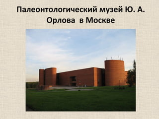 Палеонтологический музей Ю. А. Орлова  в Москве 