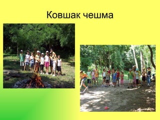 Ковшак чешма 