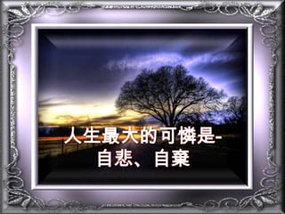 人生最大的可憐是-自悲、自棄