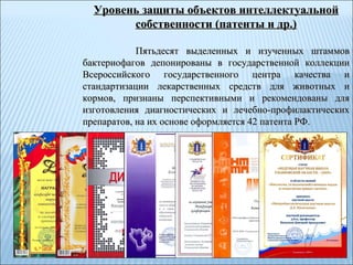 Уровень защиты объектов интеллектуальной собственности (патенты и др.) Пятьдесят выделенных и изученных штаммов бактериофагов депонированы в государственной коллекции Всероссийского государственного центра качества и стандартизации лекарственных средств для животных и кормов, признаны перспективными и рекомендованы для изготовления диагностических и лечебно-профилактических препаратов, на их основе оформляется 42 патента РФ.  
