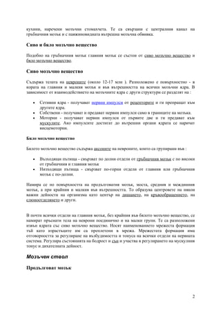 кухини, наречени мозъчни стомахчета. Те са свързани с централния канал на
гръбначния мозък и с паяжиновидната вътрешна мозъчна обвивка.

Сиво и бяло мозъчно вещество

Подобно на гръбначния мозък главния мозък се състои от сиво мозъчно вещество и
бяло мозъчно вещество.

Сиво мозъчно вещество

Съдържа телата на невроните (около 12-17 млн ). Разположено е повърхностно - в
кората на главния и малкия мозък и във вътрешността на всички мозъчни ядра. В
зависимост от взаимодействието на мозъчните ядра с други структури се разделят на :

   •   Сетивни ядра - получават нервни импулси от рецепторите и ги препращат към
       другите ядра.
   •   Собствени - получават и предават нервни импулси само в границите на мозъка.
   •   Моторни - получават нервни импулси от първите две и ги предават към
       мускулите. Ако импулсите достигат до вътрешни органи ядрата се наричат
       висцемоторни.

Бяло мозъчно вещество

Бялото мозъчно вещество съдържа аксоните на невроните, които са групирани във :

   •   Възходящи пътища - свързват по долни отдели от гръбначния мозък с по високи
       от гръбначния и главния мозък
   •   Низходящи пътища - свързват по-горни отдели от главния или гръбначния
       мозък с по-долни.

Намира се по повърхността на продълговатия мозък, моста, средния и междинния
мозък, а при крайния и малкия във вътрешността. То образува центровете на някои
важни дейности на организма като център на дишането, на кръвообращението, на
слюноотделянето и други.


В почти всички отдели на главния мозък, без крайния във бялото мозъчно вещество, се
намират пръснати тела на неврони поединично и на малки групи. Те са разположени
извън ядрата със сиво мозъчно вещество. Носят наименованието мрежеста формация
тъй като израстъците им са преплетени в мрежа. Мрежестата формация има
отговорността за регулиране на възбудимостта и тонуса на всички отдели на нервната
система. Регулира състоянията на бодрост и сън и участва в регулирането на мускулния
тонус и дихателната дейност.

Мозъчен ствол

Продълговат мозък




                                                                                  2
 