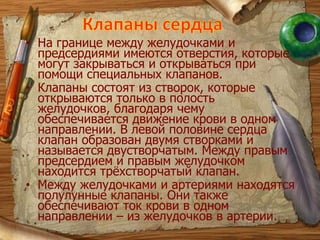 Работа сердцаВ работе сердца, состоящей в перекачивании крови, выделяют три фазы: сокращение предсердий, сокращение желудочков  пауза, когда желудочки и предсердия одновременно расслаблены. 