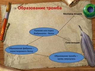 Пиноцитоз– поглощение клеткой капелек жидкости.Фагоцитоз – поглощение клеткой твердых частиц    (возможно в роли частиц выступление бактерий и вирусов)