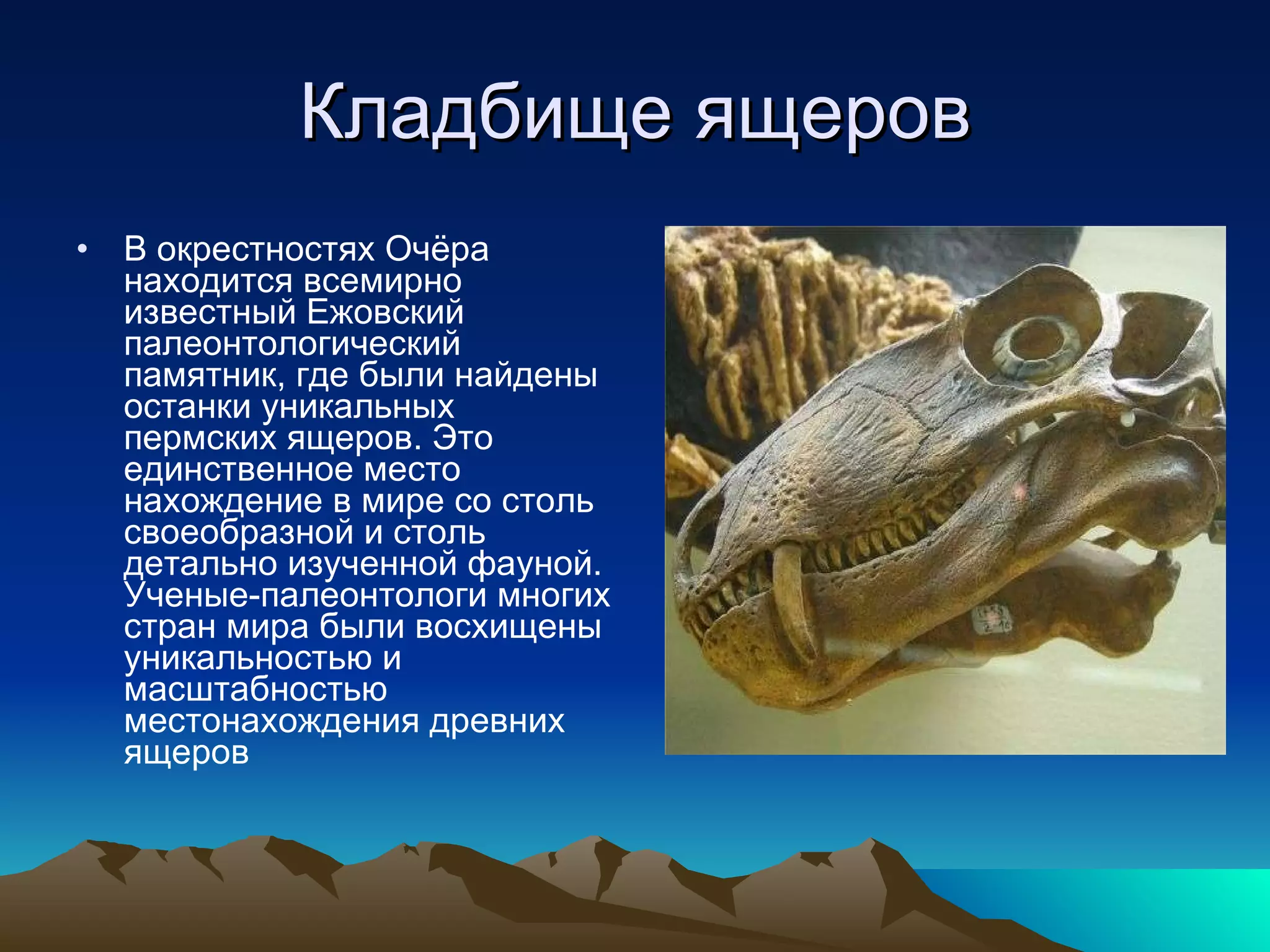 Кладбище ящеров В окрестностях Очёра находится всемирно известный Ежовский палеонтологический памятник, где были найдены останки уникальных пермских ящеров. Это единственное место нахождение в мире со столь своеобразной и столь детально изученной фауной. Ученые-палеонтологи многих стран мира были восхищены уникальностью и масштабностью местонахождения древних ящеров 