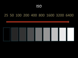ISO25  50  100  200  400  800  1600  3200  6400