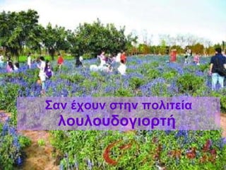 Σαν έχουν στην πολιτεία  λουλουδογιορτή   