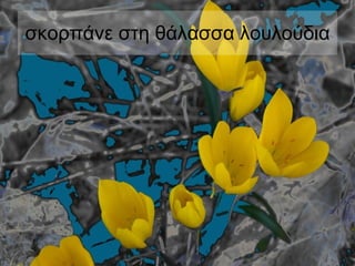 σκορπάνε στη θάλασσα λουλούδια 