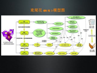 鸢尾花 (IRIS) 模型图 