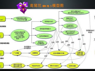 鸢尾花 (IRIS) 模型图 