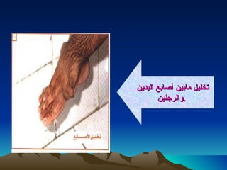 تخليل مابين أصابع اليدين  والرجلين  .  