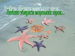 Люблю збирати морських зірок... 