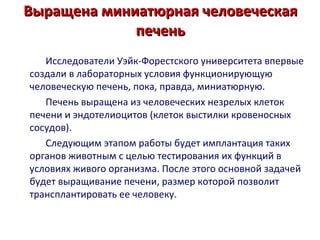 Выращена миниатюрная человеческая печень Исследователи Уэйк-Форестского университета впервые создали в лабораторных условия функционирующую человеческую печень, пока, правда, миниатюрную. Печень выращена из человеческих незрелых клеток печени и эндотелиоцитов (клеток выстилки кровеносных сосудов). Следующим этапом работы будет имплантация таких органов животным с целью тестирования их функций в условиях живого организма. После этого основной задачей будет выращивание печени, размер которой позволит трансплантировать ее человеку . 