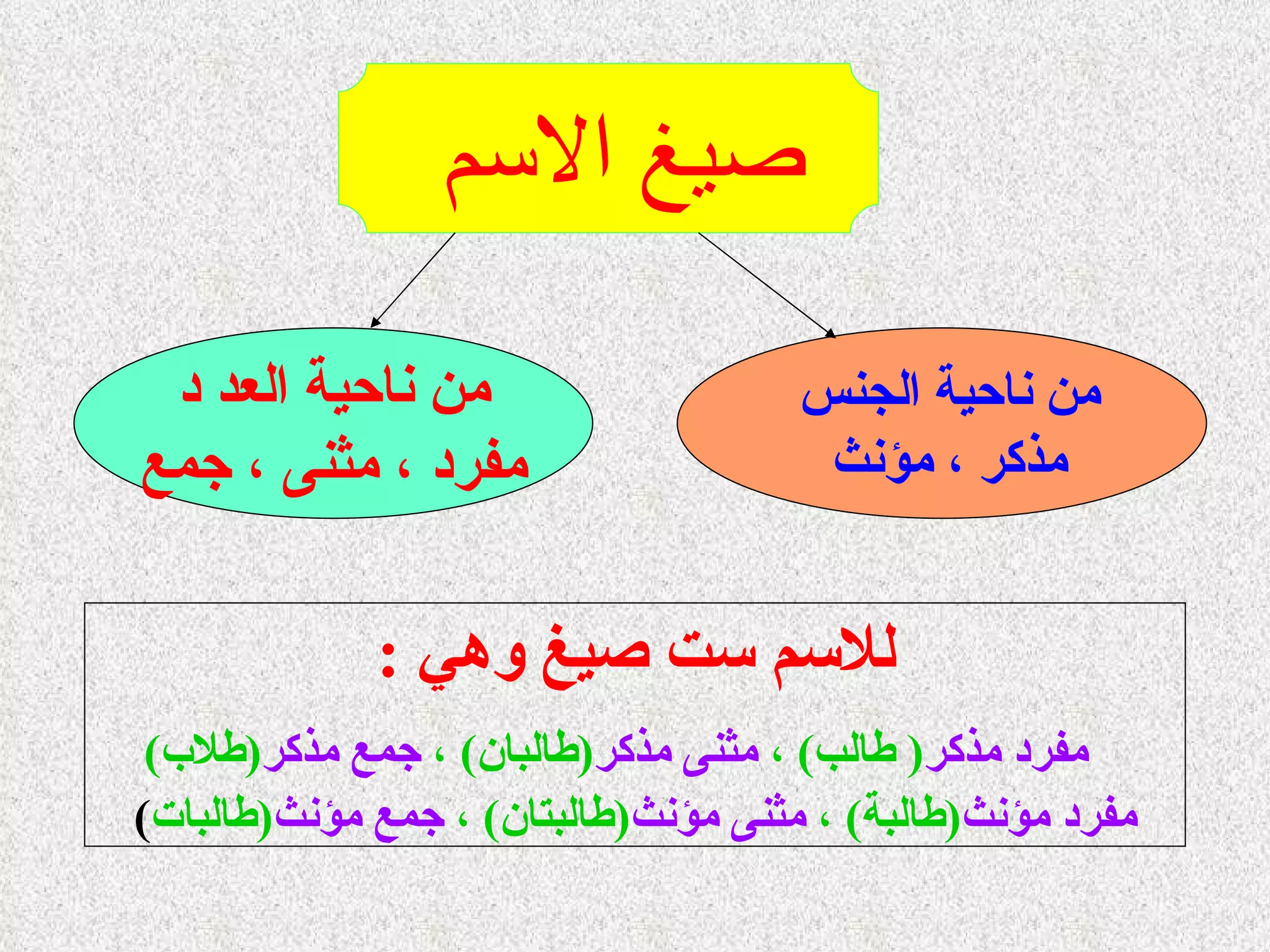 صيغ الاسم   من ناحية الجنس  مذكر ، مؤنث   من ناحية العد د مفرد ، مثنى ، جمع للاسم ست صيغ وهي  : مفرد مذكر (  طالب )  ،  مثنى مذكر ( طالبان )  ،  جمع مذكر ( طلاب ) مفرد مؤنث ( طالبة )  ،  مثنى مؤنث ( طالبتان )  ،  جمع مؤنث ( طالبات ) 