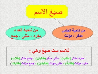 صيغ الاسم   من ناحية الجنس  مذكر ، مؤنث   من ناحية العد د مفرد ، مثنى ، جمع للاسم ست صيغ وهي  : مفرد مذكر (  طالب )  ،  مثنى مذكر ( طالبان )  ،  جمع مذكر ( طلاب ) مفرد مؤنث ( طالبة )  ،  مثنى مؤنث ( طالبتان )  ،  جمع مؤنث ( طالبات ) 