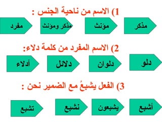 1)  الاسم من ناحية الجنس  : مفرد مذكر ومؤنث مؤنث مذكر 2)  الاسم المفرد من كلمة دلاء : أدلاء دلائل دلوان دلو 3)  الفعل يشبعُ مع الضمير نحن  : تشبع نشبع يشبعون أشبع 