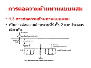 ??????????????????????? 1.3  ???????????????????????   ??????????????????????????????  2  ????????????????? 