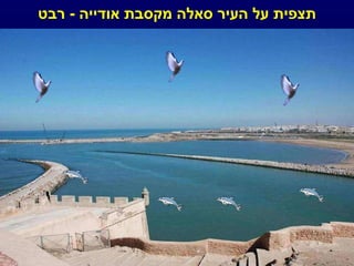 תצפית על העיר סאלה מקסבת אודייה  -  רבט 