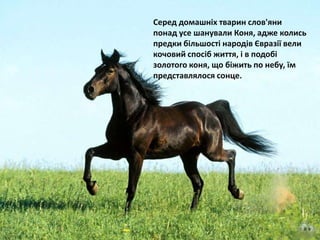 Серед домашніх тварин слов'яни
понад усе шанували Коня, адже колись
предки більшості народів Євразії вели
кочовий спосіб життя, і в подобі
золотого коня, що біжить по небу, їм
представлялося сонце.
 