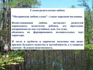 Слепая родительская любовь "Материнская любовь слепа" - гласит народная пословица.  Всепоглощающая любовь заставляет родителей оправдывать недостатки ребенка, его проступки, воспринимая их как случайные, или, что хуже,  объяснять их формированием положительных черт характера.  И тогда в грубости и упрямстве мальчика они видят признак будущего мужества и настойчивости, а в капризах девочки - будущую женственность. 
