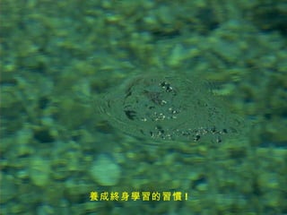 養成終身學習的習慣 !   