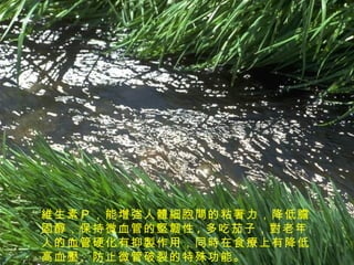 維生素Ｐ，能增強人體細胞間的粘著力，降低膽固醇，保持微血管的堅韌性 , 多吃茄子，對老年人的血管硬化有抑製作用，同時在食療上有降低高血壓、防止微管破裂的特殊功能。  