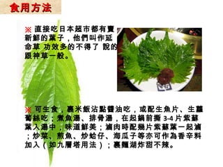 ※ 直接吃日本超市都有賣 新鮮的葉子，他們叫作延 命草 功效多的不得了 說的 跟神草一般。  ※ 可生食，裹米飯沾點醬油吃，或配生魚片、生蘿蔔絲吃；煮魚湯、排骨湯，在起鍋前撕 3-4 片紫蘇葉入湯中，味道鮮美；滷肉時配幾片紫蘇葉一起滷；炒菜、煎魚、炒蛤仔、海瓜子等亦可作為香辛料加入（如九層塔用法）；裹麵湖炸甜不辣。 食用方法 