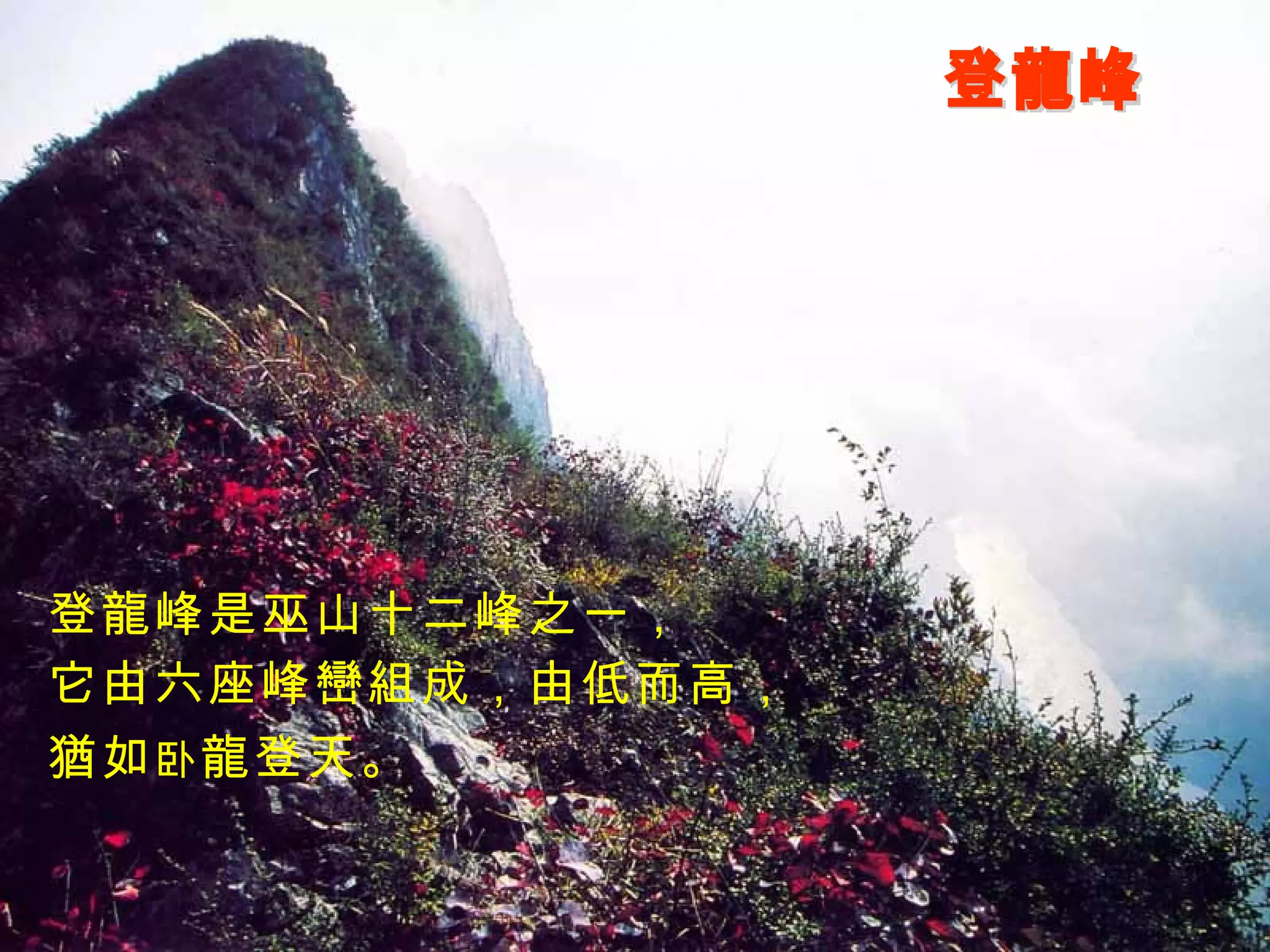 登龍峰 登龍峰是巫山十二峰之一， 它由六座峰巒組成，由低而高， 猶如 卧 龍登天。 