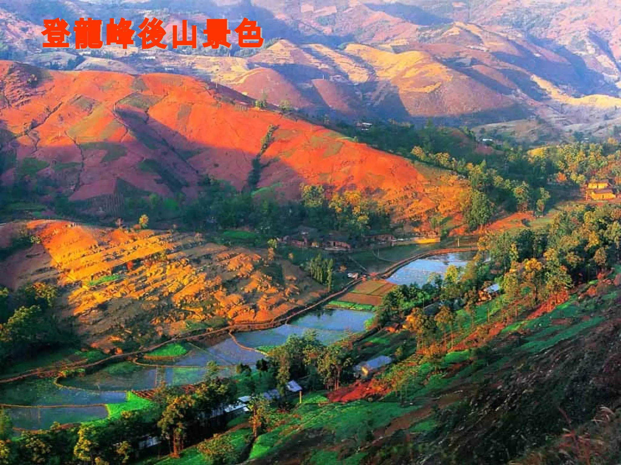 登龍峰後山景色 