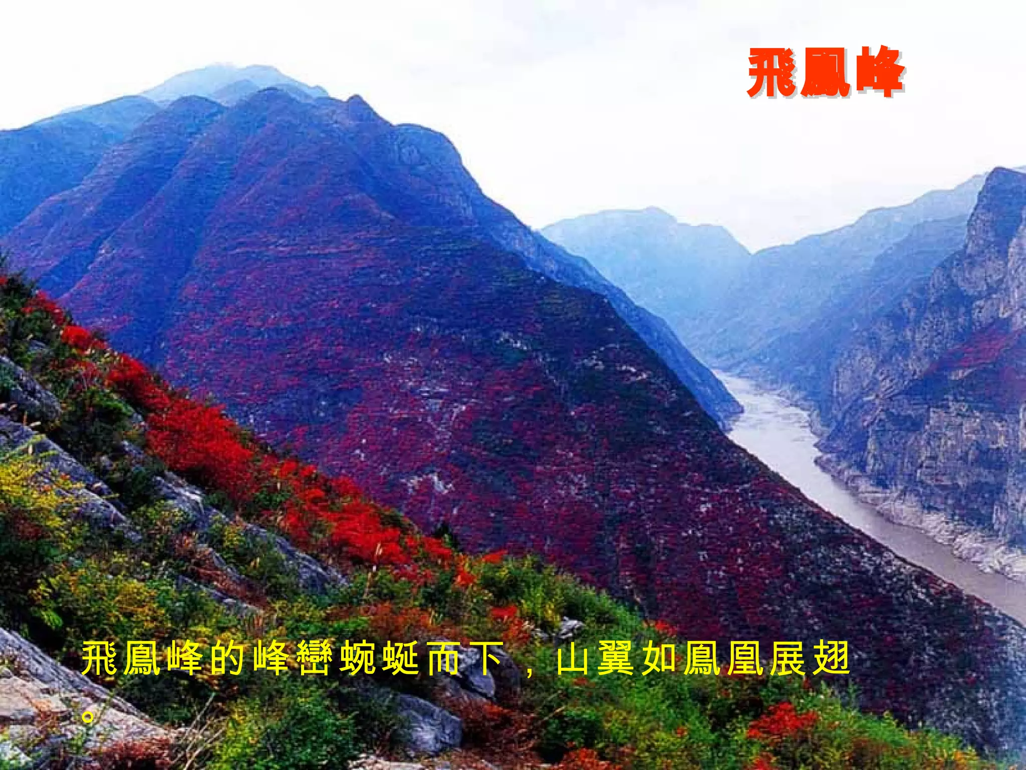 飛鳯峰 飛鳯峰的峰巒蜿蜒而下，山翼如鳯凰展翅。 