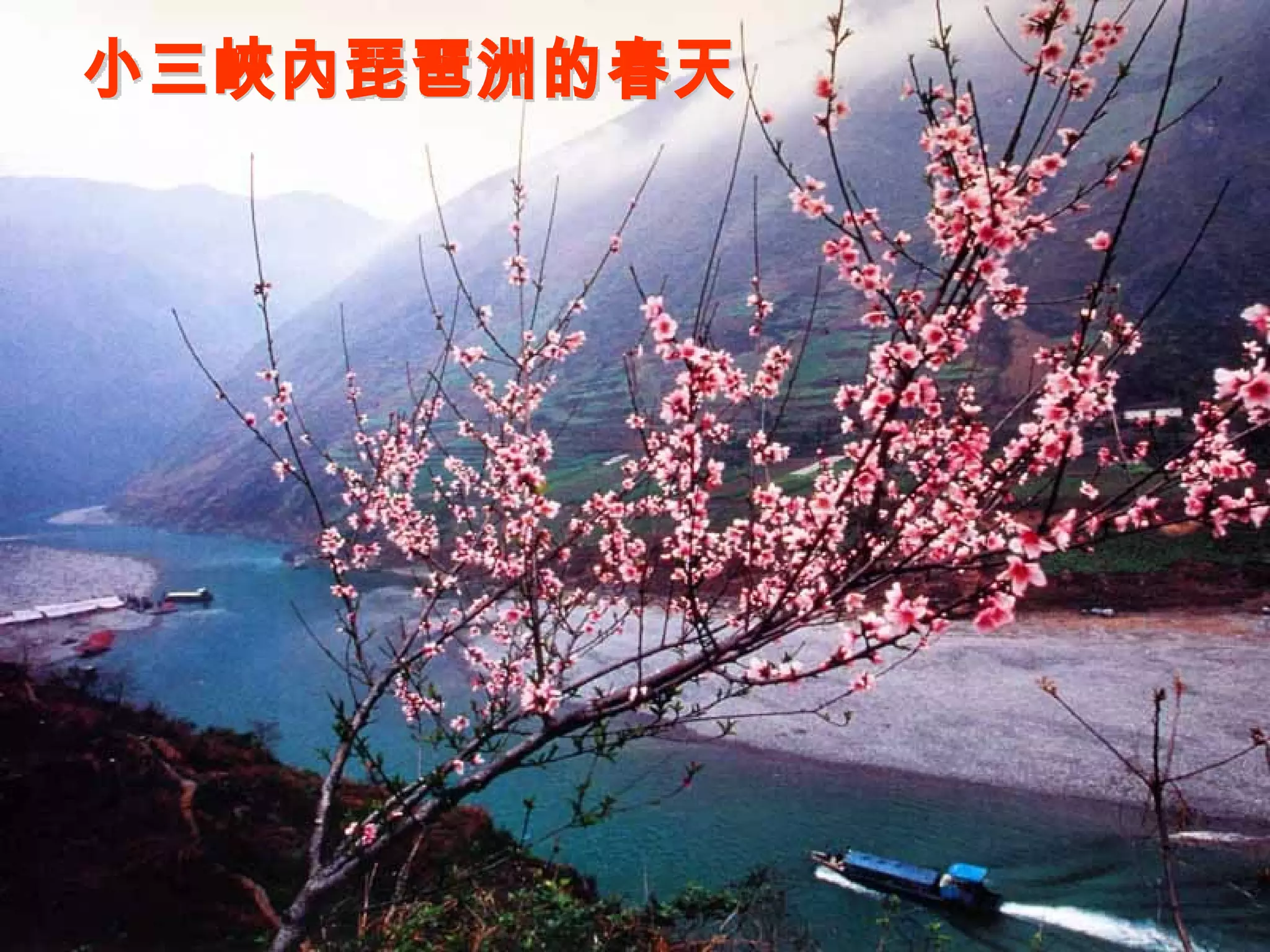 小三峽內琵琶洲的春天 