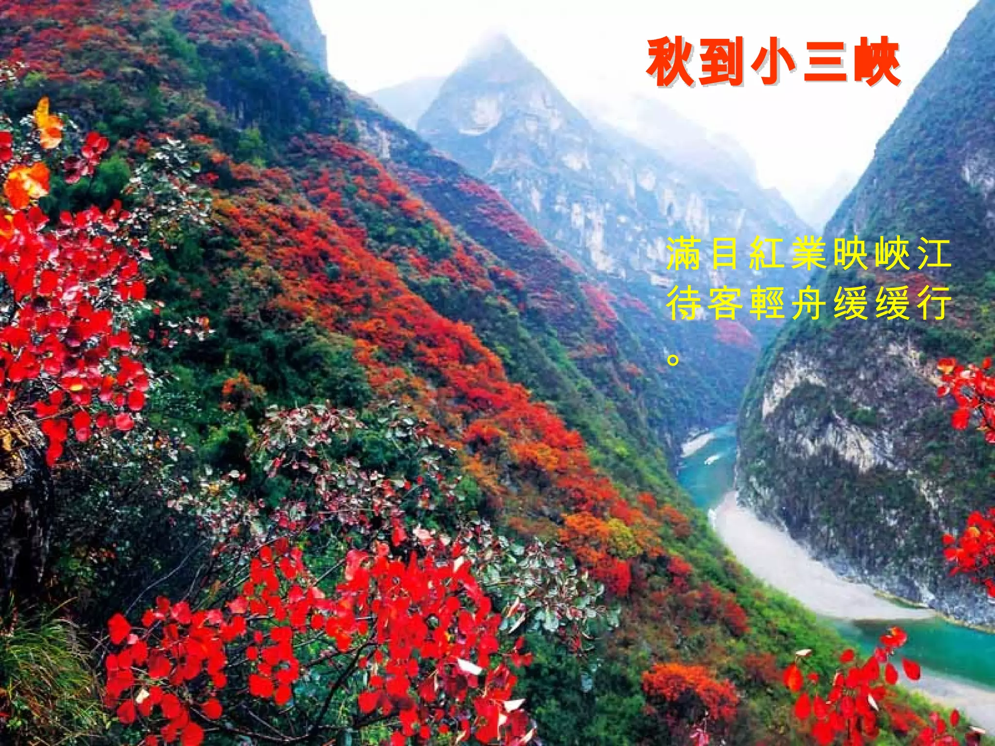 秋到小三峽 滿目紅業映峽江， 待客輕舟缓缓行。 