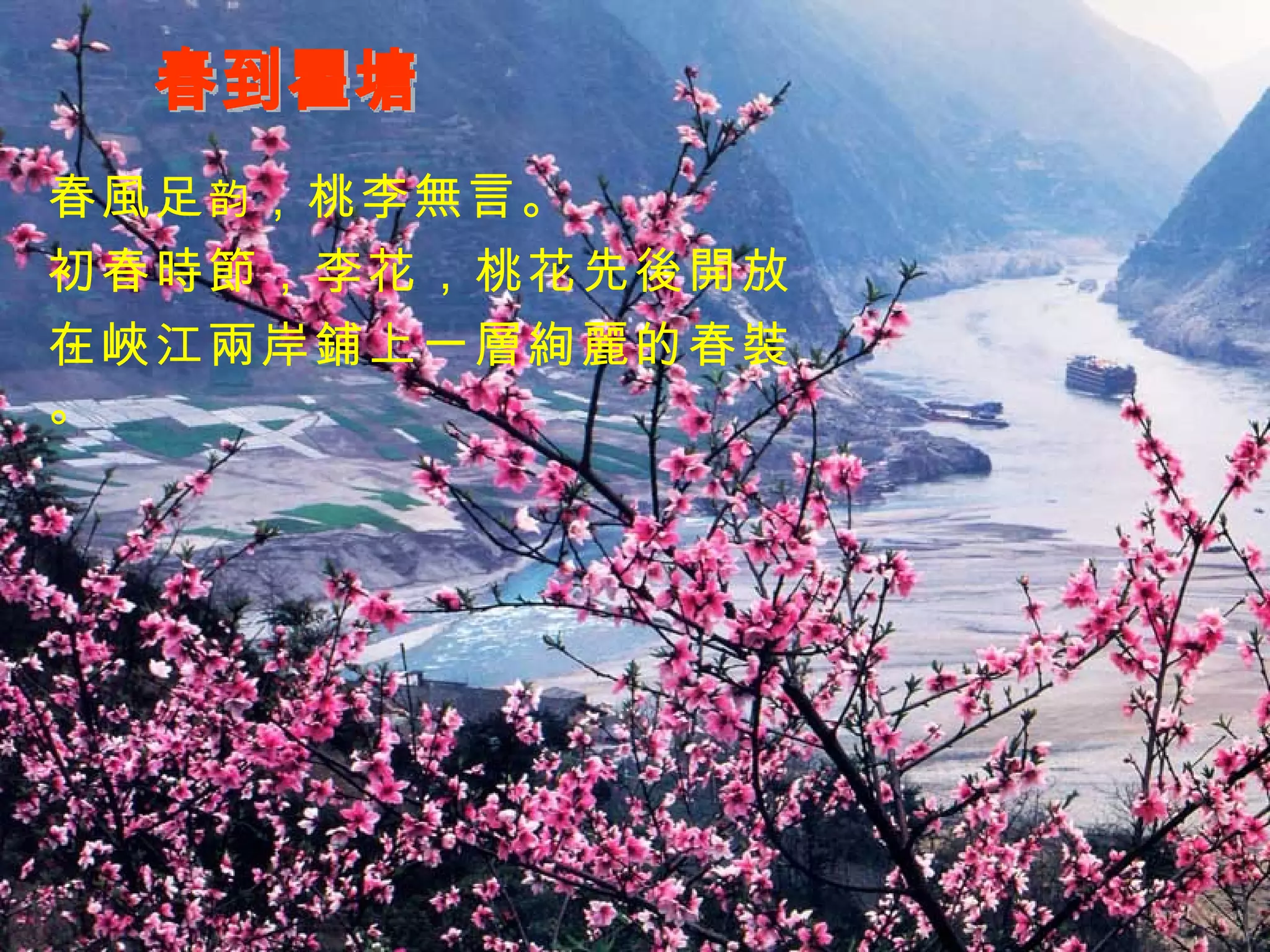 春到瞿塘 春風足 韵 ，桃李無言。 初春時節，李花，桃花先後開放， 在峽江兩岸鋪上一層絢麗的春裝。 