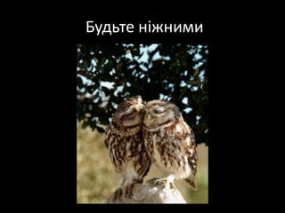  Будьте ніжними