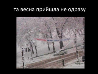 та весна прийшла не одразу