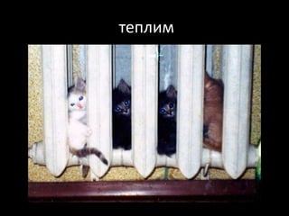  теплим
