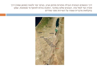 דרך הבשמים הנבטית הובילה סחורות מתימן וערב ,  בעיקר מור ולבונה  ( ומכאן שמה )  דרך פטרה ועד לנמל עזה .  הנבטים שלטו במדבר ,  התקינו בורות לאיסוף מי שטפונות ,  עסקו בחקלאות מדברית ושמרו על השיירות מפני שודדים 