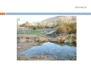 עין סהרונים 