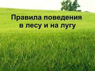 Правила поведения  в лесу и на лугу Материал сайта: viki.rdf.ru   