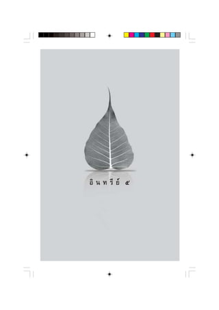 Õ‘ π ∑ √’ ¬å ı
 