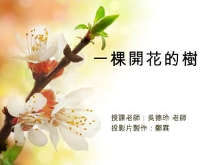 一棵開花的樹 授課老師：吳德玲 老師 投影片製作：鄭霖 
