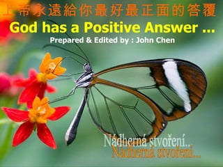 Nádherná stvoření... 上帝永遠給你最好最正面的答覆  God has a Positive Answer ... Prepared & Edited by : John Chen 