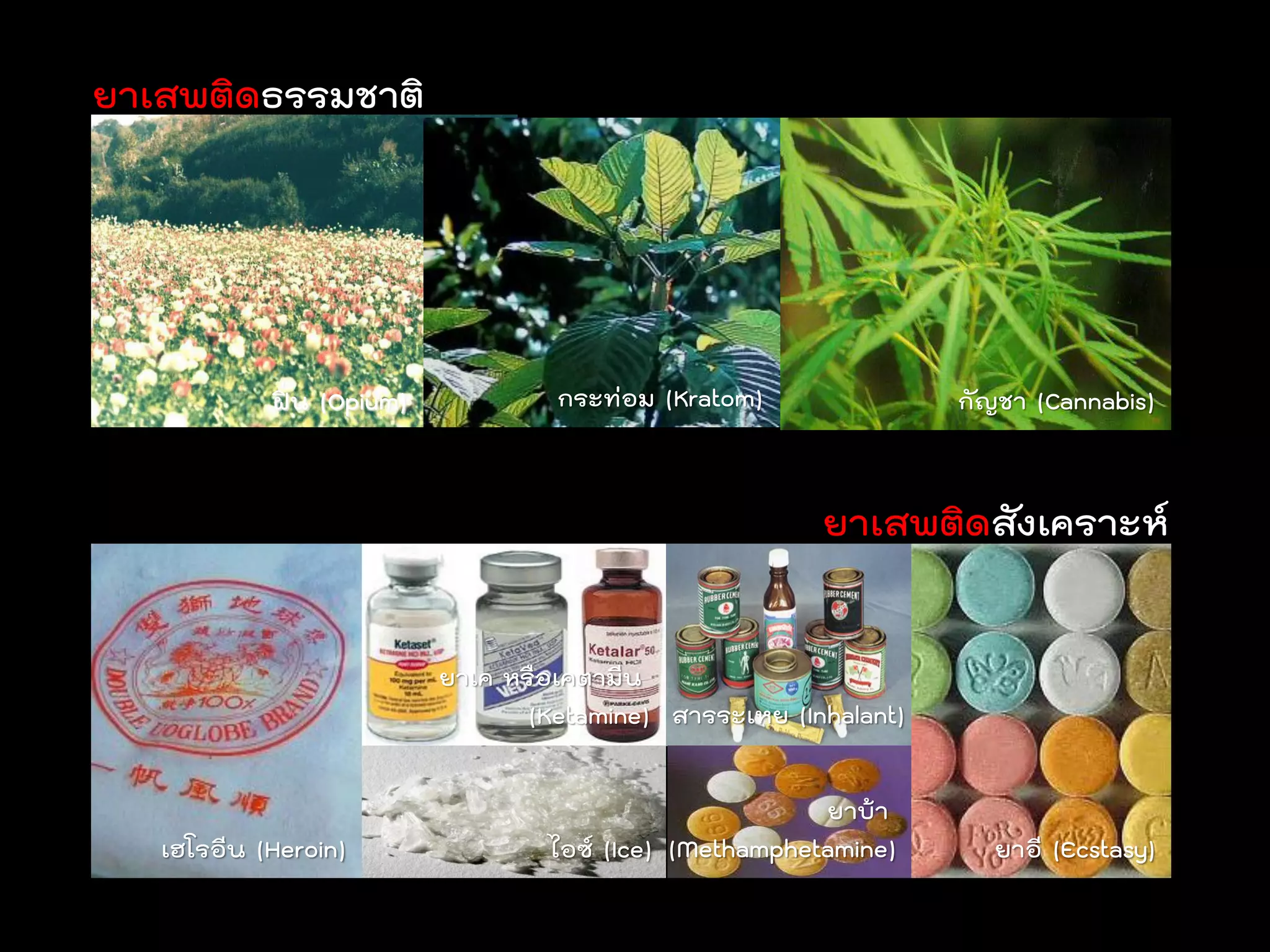 ยาเสพติดธรรมชาติ




            ฝิ่น (Opium)            กระท่อม (Kratom)               กัญชา (Cannabis)


                                                         ยาเสพติดสังเคราะห์


                           ยาเค หรือเคตามีน
                                  (Ketamine) สารระเหย (Inhalant)

                                                         ยาบ้า
   เฮโรอีน (Heroin)                ไอซ์ (Ice) (Methamphetamine)      ยาอี (Ecstasy)
 
