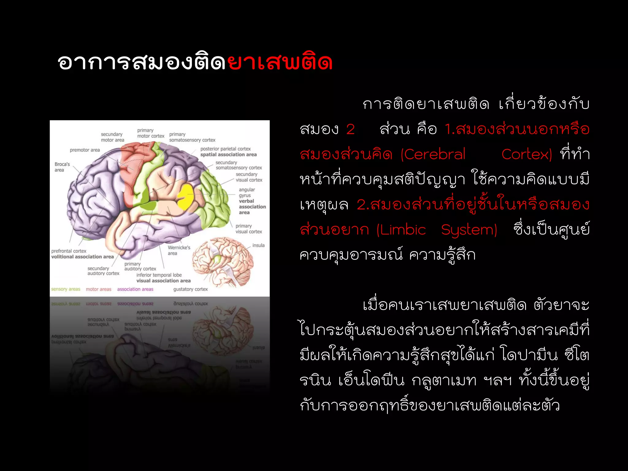 อาการสมองติดยาเสพติด
                          การติ ด ยาเสพติ ด เกี่ ย วข้ อ งกั บ
                 สมอง 2 ส่วน คือ 1.สมองส่วนนอกหรือ
                 สมองส่วนคิด (Cerebral              Cortex) ที่ทา
                 หน้าที่ควบคุมสติปัญญา ใช้ความคิดแบบมี
                 เหตุ ผล 2.สมองส่ ว นที่อ ยู่ ชั้น ในหรื อสมอง
                 ส่วนอยาก (Limbic System) ซึ่งเป็นศูนย์
                 ควบคุมอารมณ์ ความรู้สึก

                           เมื่อคนเราเสพยาเสพติด ตัวยาจะ
                 ไปกระตุ้นสมองส่วนอยากให้สร้างสารเคมีที่
                 มีผลให้เกิดความรู้สึกสุขได้แก่ โดปามีน ซีโต
                 รนิน เอ็นโดฟีน กลูตาเมท ฯลฯ ทั้งนี้ขึ้นอยู่
                 กับการออกฤทธิ์ของยาเสพติดแต่ละตัว
 
