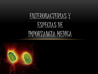 Enterobacterias y Especias de Importancia Medica 